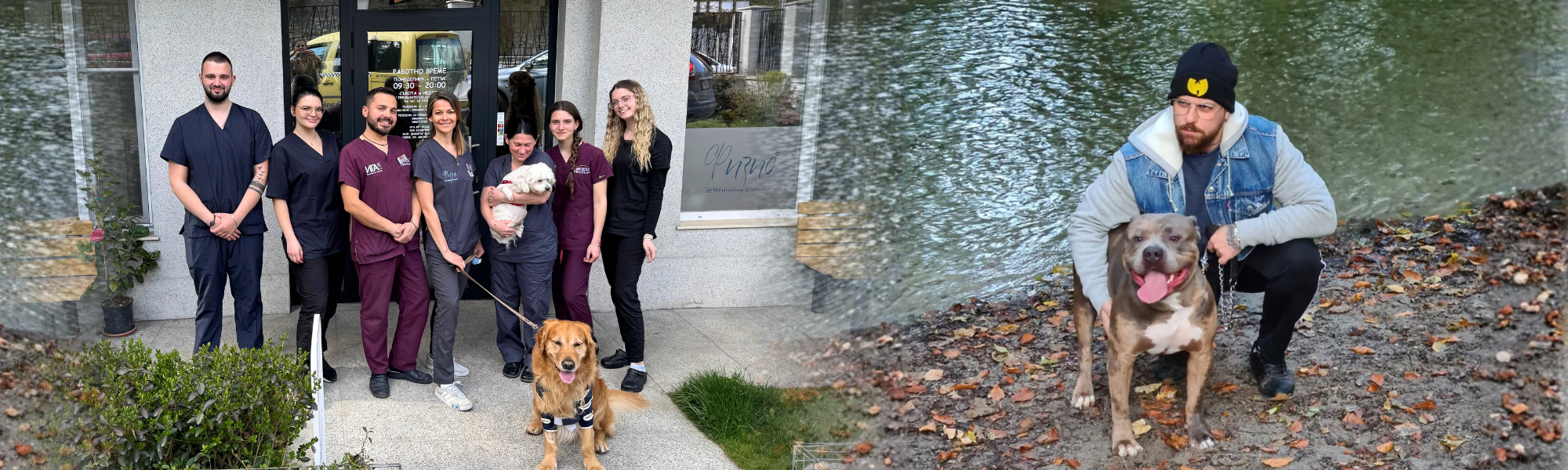 Kingz Bullys Partner und Service